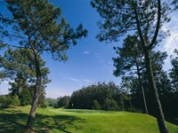 lisbon sports club Golf Course in Cascais - Lisbon