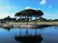 vila sol Golf Course in Vilamoura - Algarve