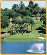 Welcome to PropertyGolfPortugal.com - pinheiros altos -  - Portugal Golf Courses Information - pinheiros altos